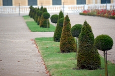 Schloss_Schönbrunn_Kronprinzgarten_08.JPG